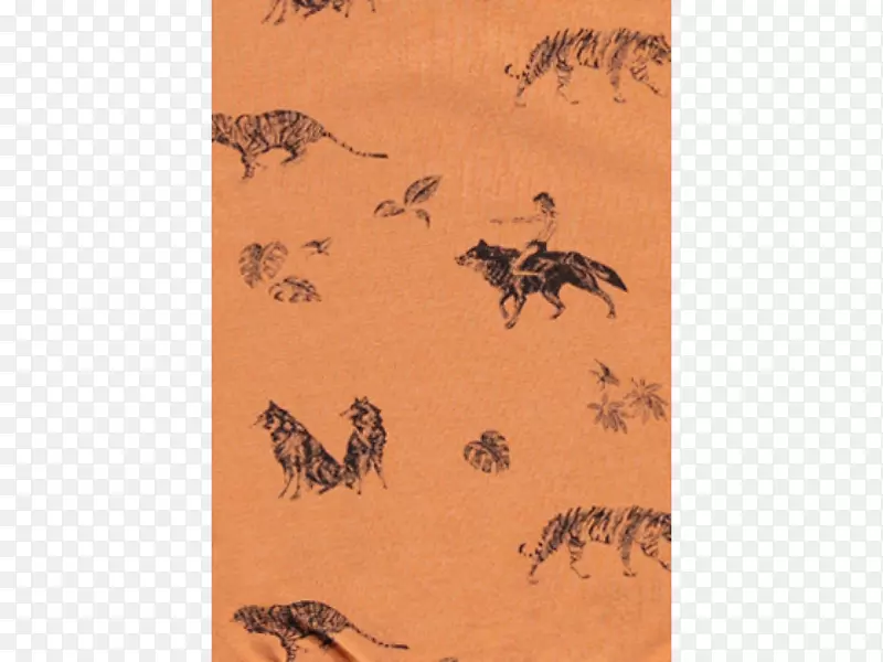 ���涯��Ⱥ-����-������