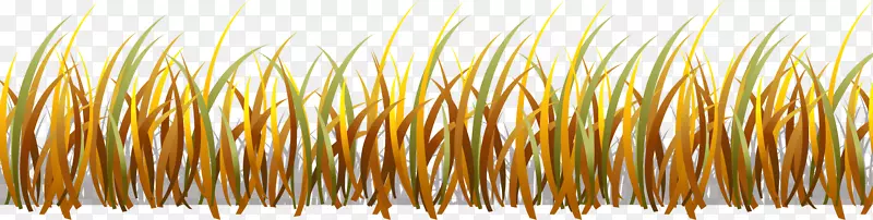 ���ػƻƲ�-������