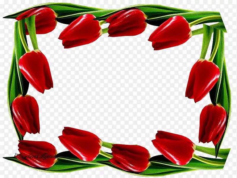 �����㻨���л�����������-������