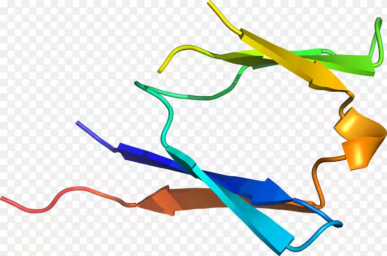 �ߵ������-��-������