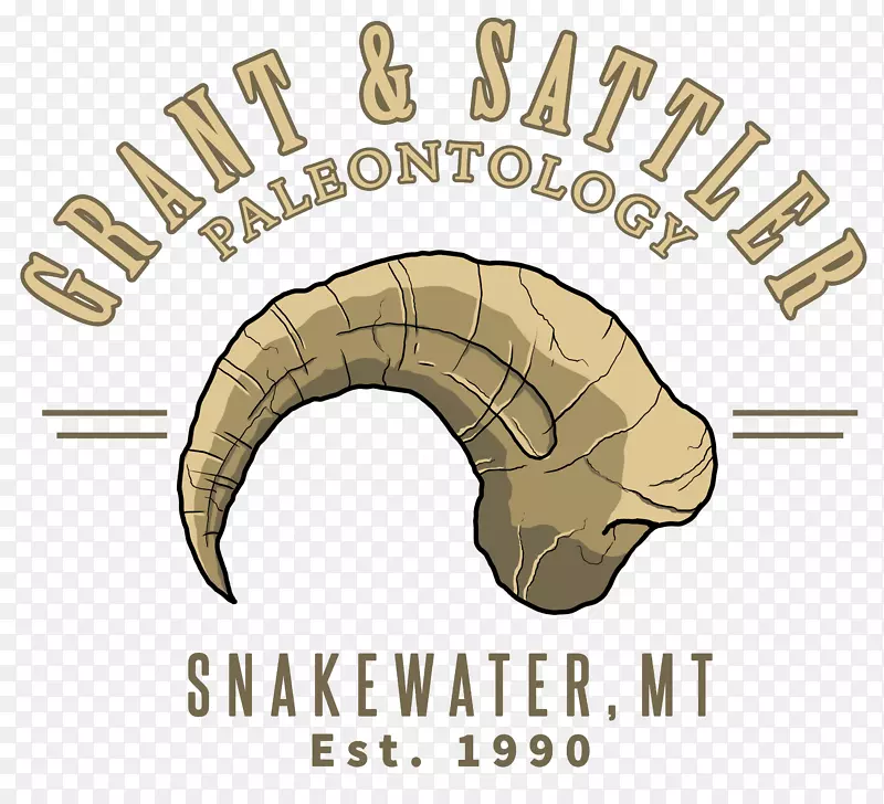 ���Ͳ��ͱ�����ɽ���ӽ�Ŀ�о�����-������