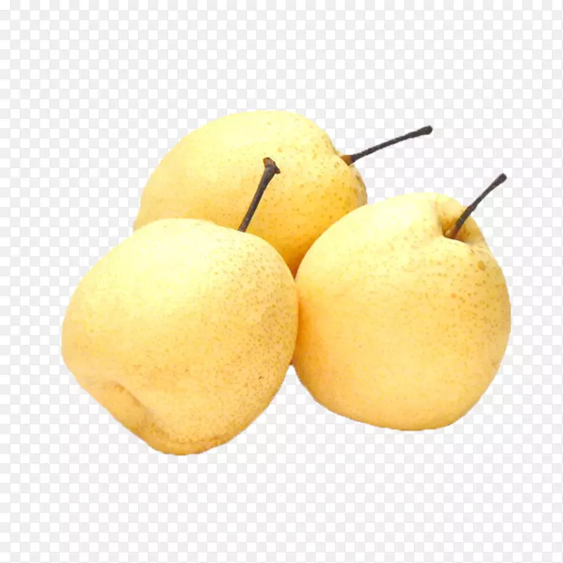 ѩ��԰¸���˹Ӫ��ʳƷ-��-������