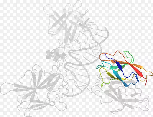 ƽ����ƻ滭���������-������