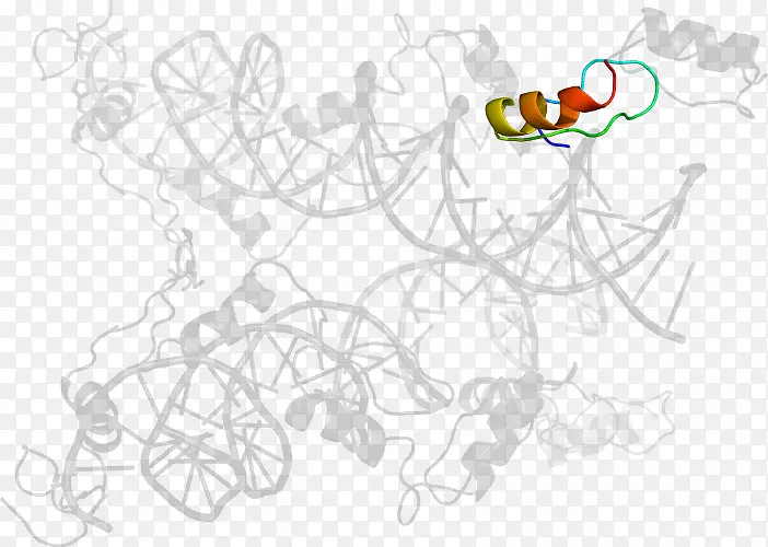 �滭/m/02csf������������-ת¼����-������