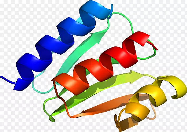 ʳƷ������ת¼����-������