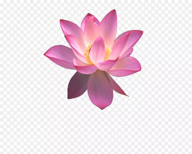 ��������������-����-������