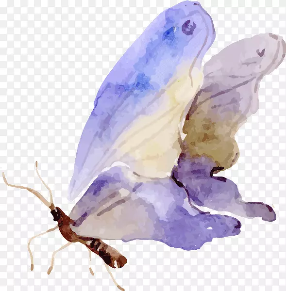 ����ˮ�ʻ�������-����-������