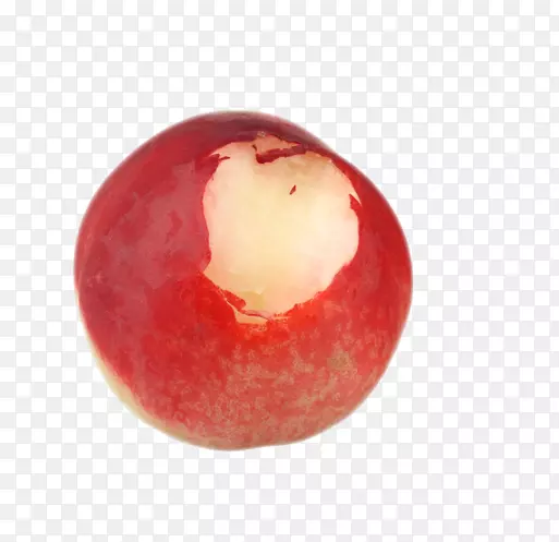 ����������ʳƷ���ް¸���˹-���Ӵ�-������