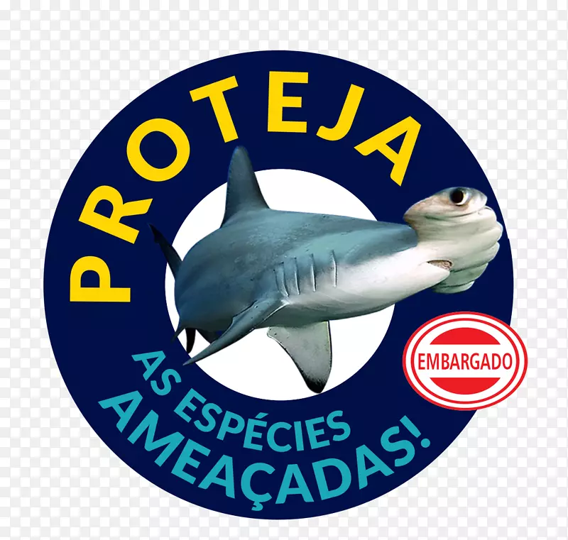 ˹��������Ӿ�أ������ݣ��������ݣ���ѧ-������