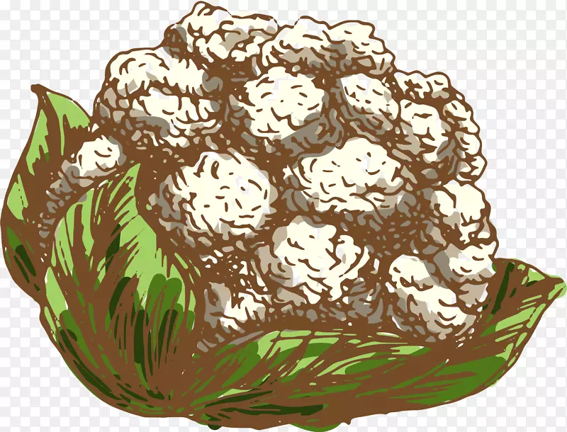 ��Ҭ�˻����߲˲�ͼ.�׻�Ҭ��-������