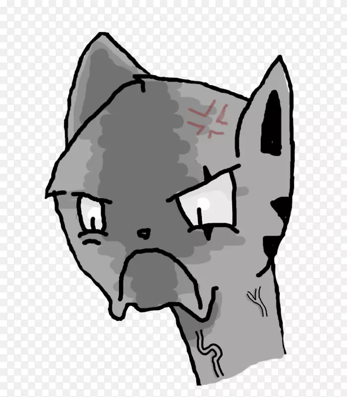 ���롢����è���������ӡ���-������