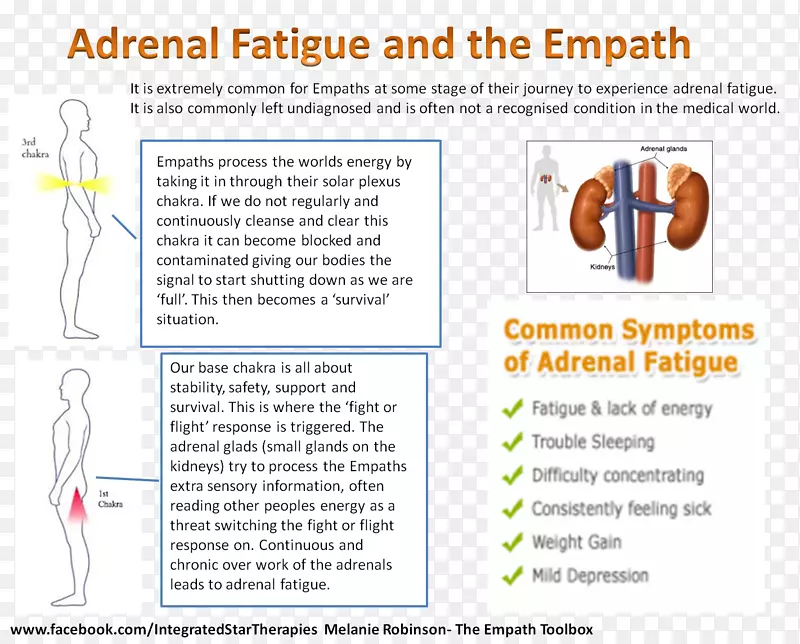 ֽ���������-������