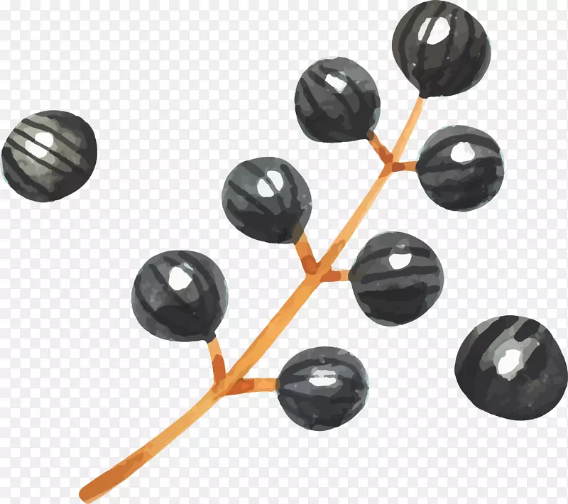 ˮɫ��ݮ-������