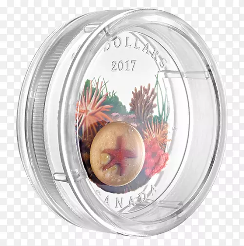 ʥ��װ�β;�-ʥ����-������