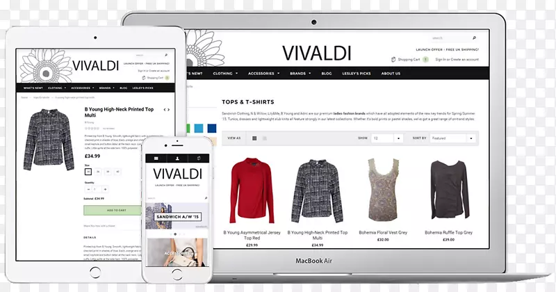 ���Ӷ�ý��Ь���-������