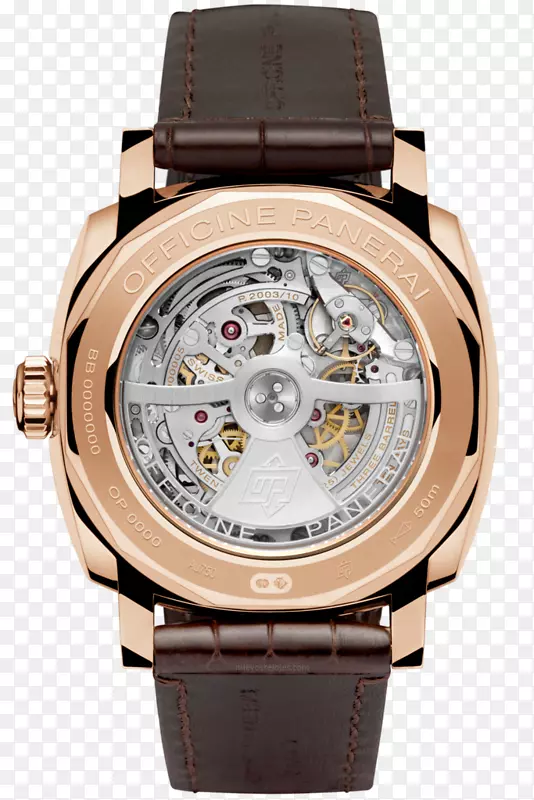 Panerai��Radiomir�˶���ʱ��-������