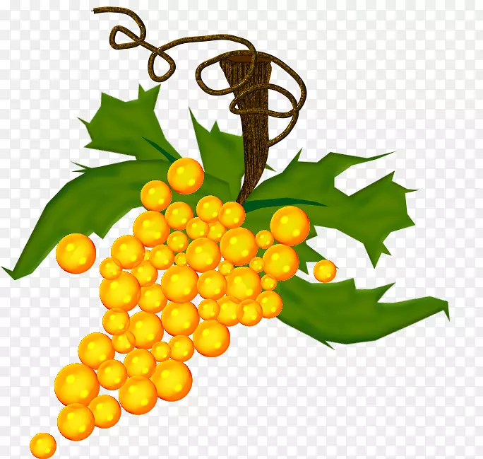 ��ͨ�����ٱ�ֲ��-����-������