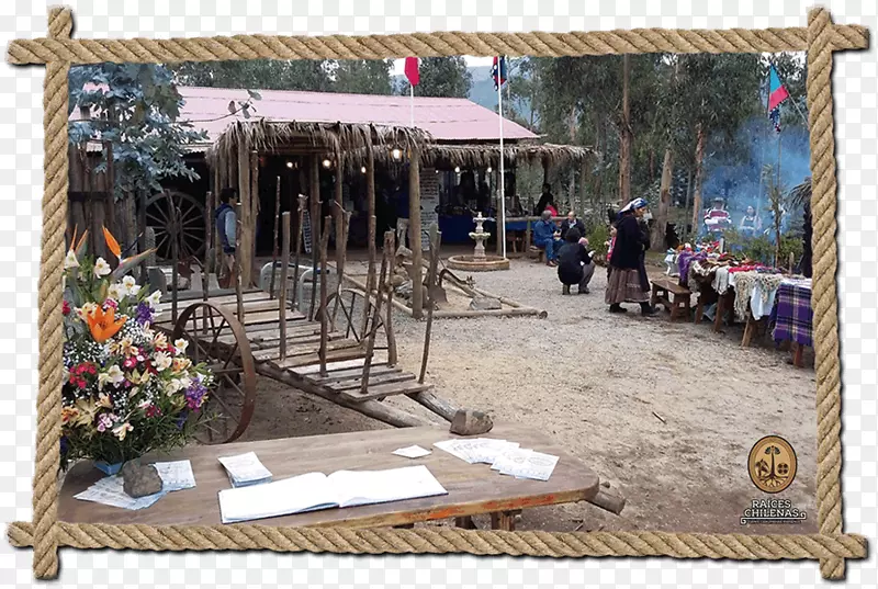 ��ľ����-��-������