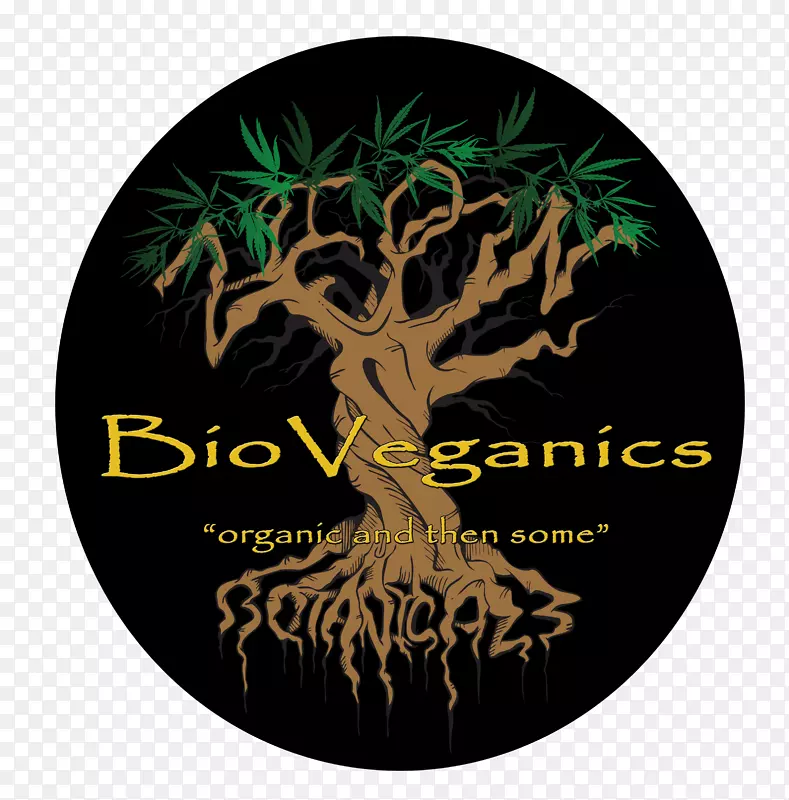 ��-��-������