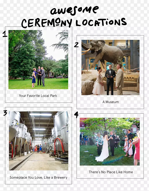 ���������-��-������