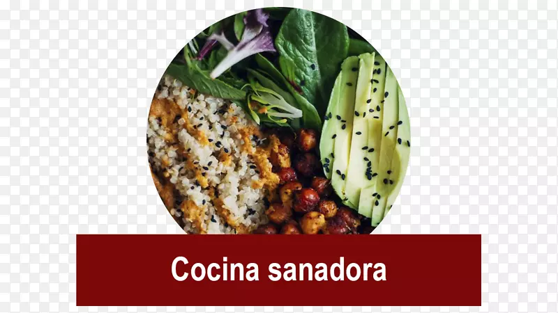 ��ʳ����Ҷ��ֲ����ӵĿ���ʳ����ʳ-�߲�-������