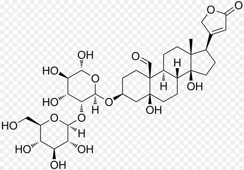 ������Ůʿ���ף������գ�cymarin-conallaria-������