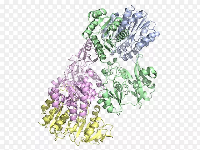 �����鱦��޹�²ݡ��󳦸˾�-������