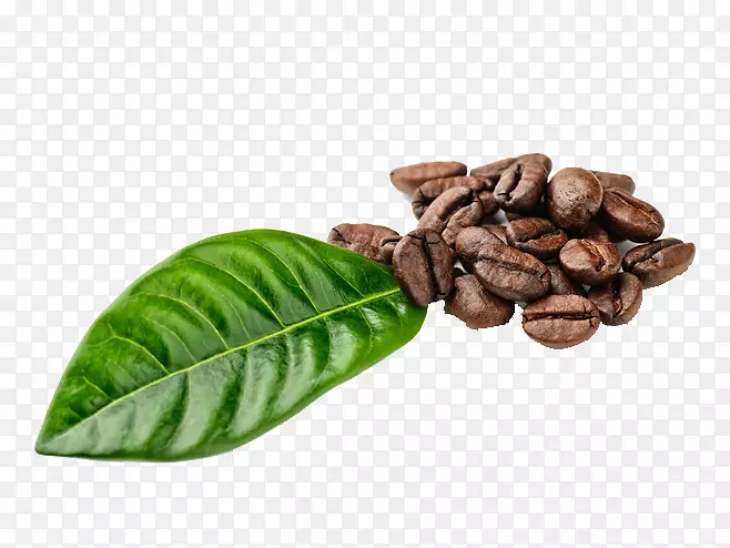 ���ܿ���Ũ���������׿��ȶ�-������