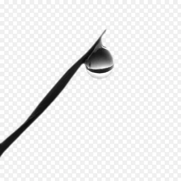 �Ƽ������-������