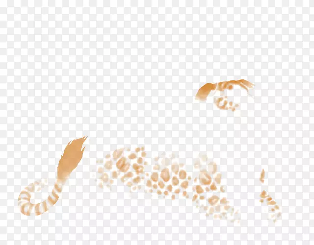 �����ֽ�л��������յ�������-����-������