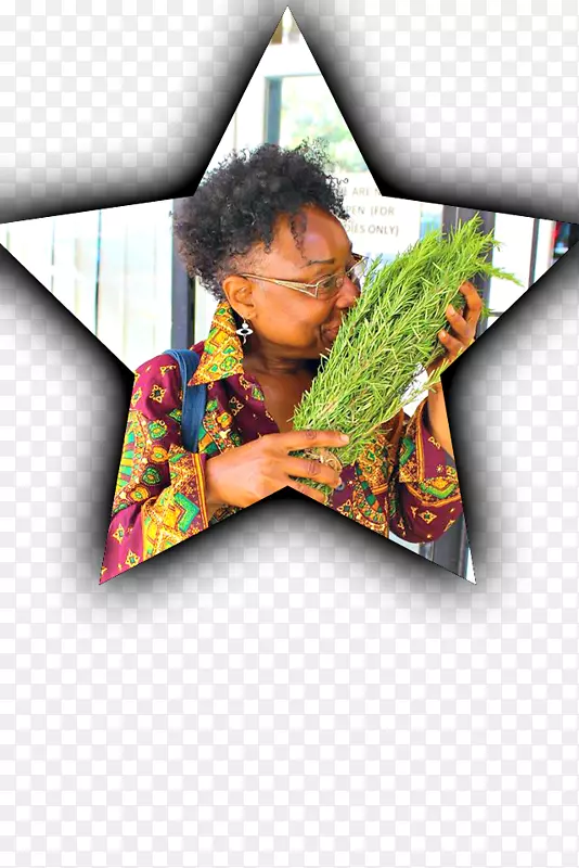 ���ǽ�-������