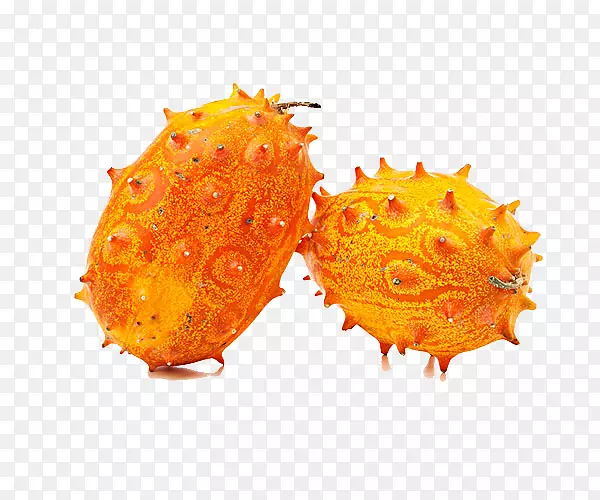 �ǹϣ��ƹϣ���Ʒ��Ӱ-������Ͻ�-������