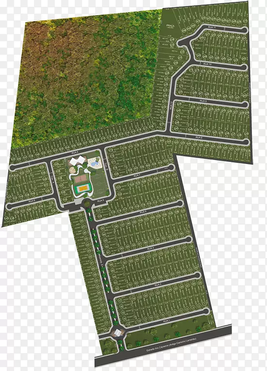 �н�-������