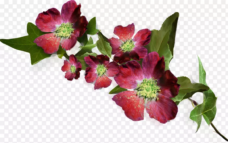 �л����ʻ�������-����-�ʻ�-������