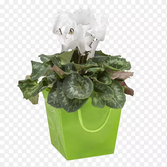 ��������л������ɿ�����-������