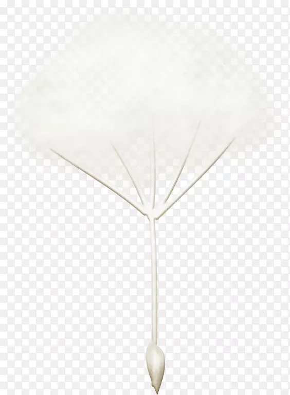 �ѹ�Ӣ-������