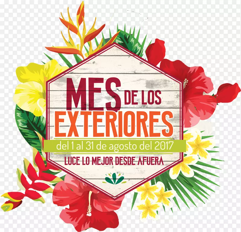 ˮ������-������