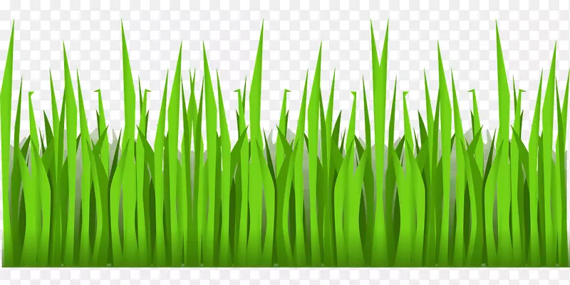 ��ƺ������-�ݵ�����-������