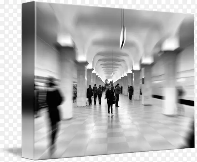 ��ɫ���-������