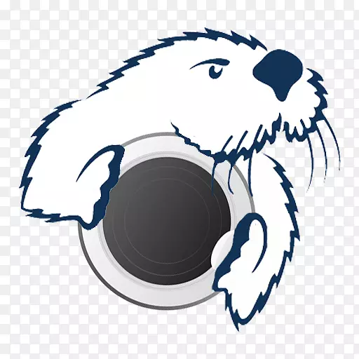 ����������ѧ����������ݴ�ѧʥ����˹��Уѧ��-������