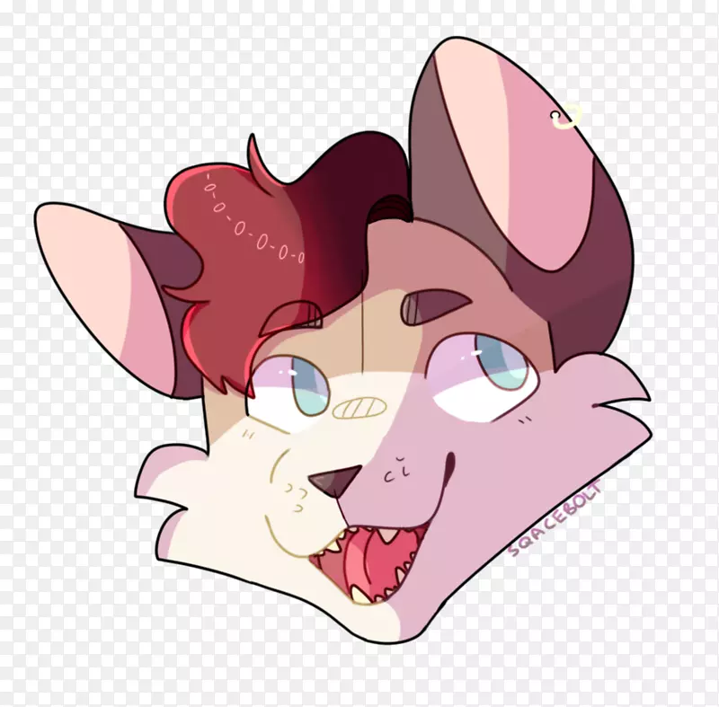 ����Ȯ����Ȯ��Ȯ-������