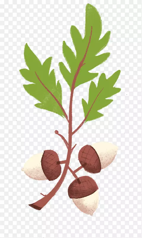 �������̬��Ӧ������-������