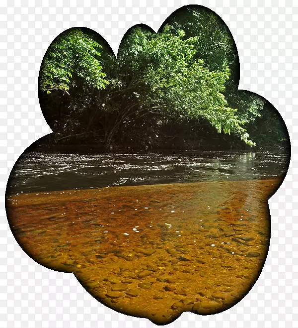 ˮ��-ˮ-������