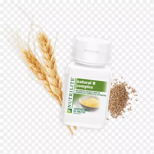 ������ѿ��С����Ʒ-������