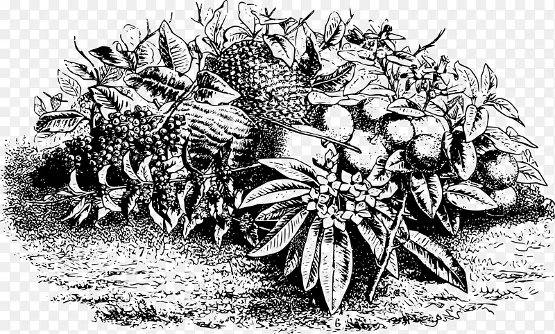 ˮ��������-����-������