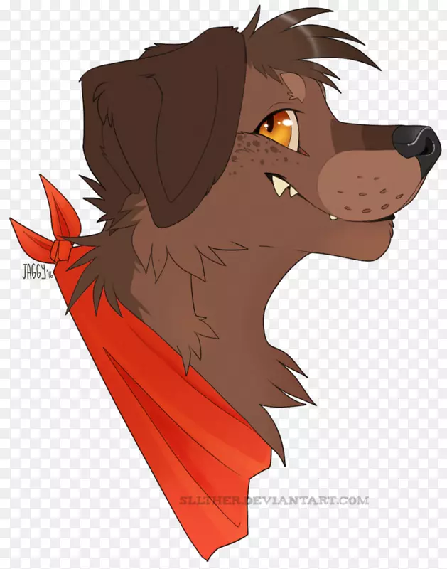 ����ʨ�ӡ�è�������ӡ���-������