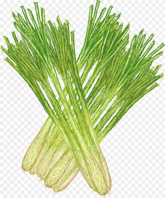 ��éר��-�����Ӱ��ͼ.�ֻ����ʲ�-������