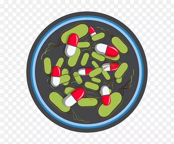 ʥ��װ��Ʒ-����ʳƷ-������