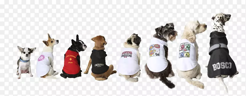 ����Ь����-���-������