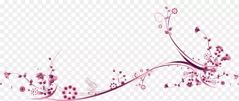 Adobe�廭-�ۺ�ɫֲ������-������